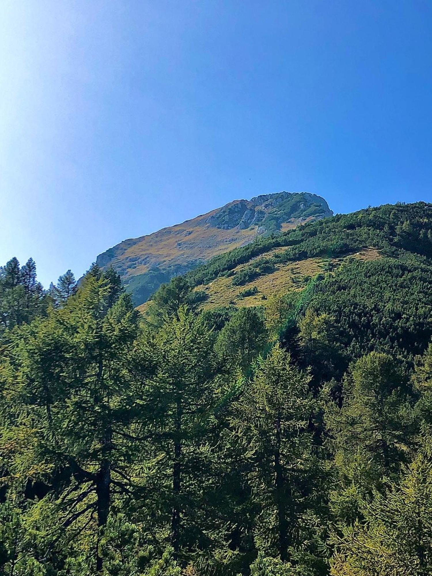 Brenta Luxury Chalet Sporminore Zewnętrze zdjęcie